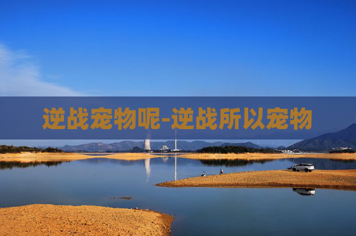 逆战宠物呢-逆战所以宠物