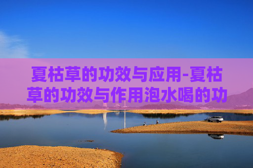 夏枯草的功效与应用-夏枯草的功效与作用泡水喝的功效