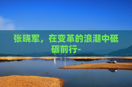 张晓军，在变革的浪潮中砥砺前行-