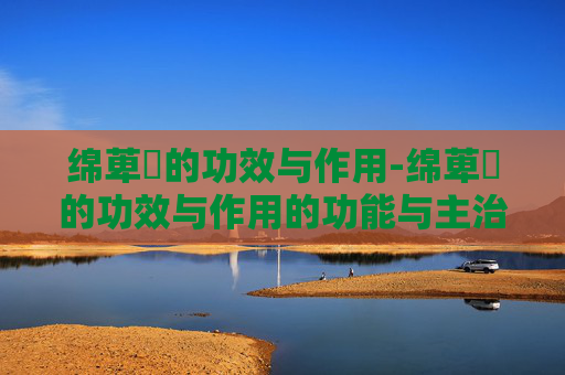 绵萆薢的功效与作用-绵萆薢的功效与作用的功能与主治