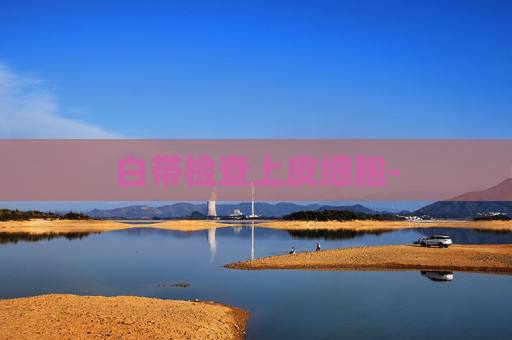 白带检查上皮细胞-