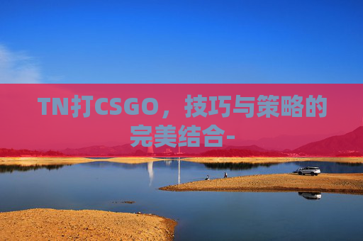 TN打CSGO，技巧与策略的完美结合-
