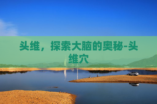 头维，探索大脑的奥秘-头维穴