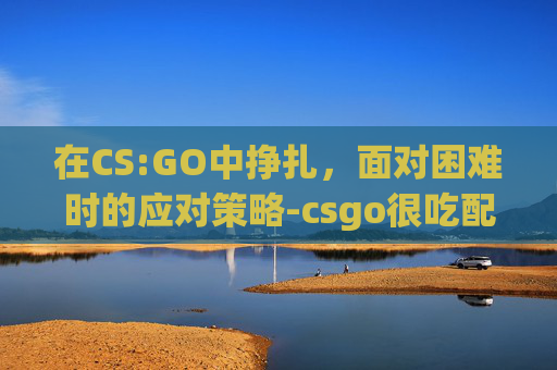 在CS:GO中挣扎，面对困难时的应对策略-csgo很吃配置吗
