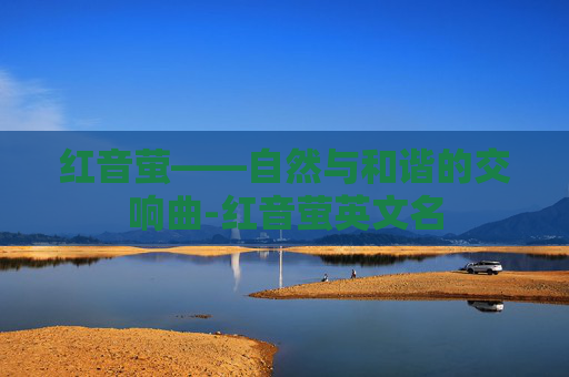 红音萤——自然与和谐的交响曲-红音萤英文名