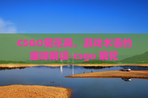 CSGO菊花局，游戏术语的趣味解读-csgo 菊花