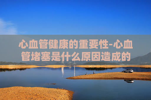 心血管健康的重要性-心血管堵塞是什么原因造成的