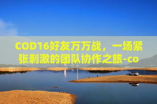 COD16好友万万战，一场紧张刺激的团队协作之旅-cod16战区加好友