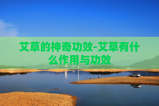 艾草的神奇功效-艾草有什么作用与功效