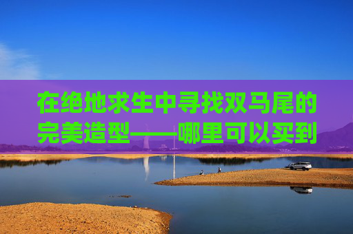 在绝地求生中寻找双马尾的完美造型——哪里可以买到你的专属双马尾？-pubg双马尾在哪买