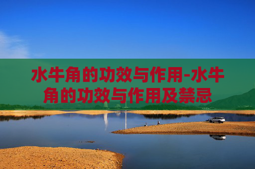 水牛角的功效与作用-水牛角的功效与作用及禁忌