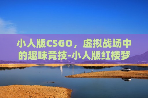 小人版CSGO，虚拟战场中的趣味竞技-小人版红楼梦
