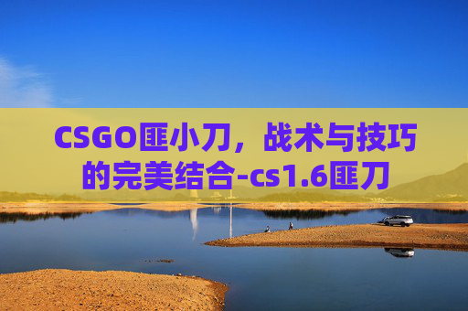 CSGO匪小刀，战术与技巧的完美结合-cs1.6匪刀