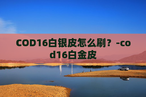 COD16白银皮怎么刷？-cod16白金皮