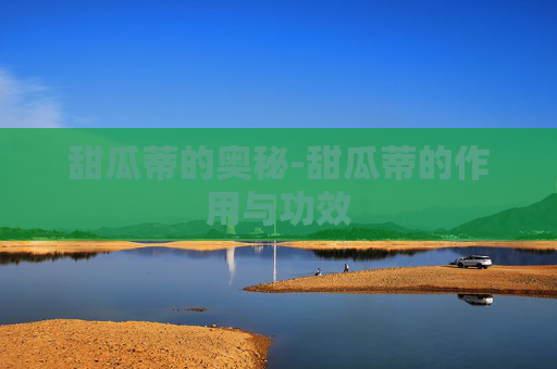 甜瓜蒂的奥秘-甜瓜蒂的作用与功效