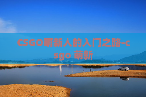 CSGO萌新人的入门之路-csgo 萌新