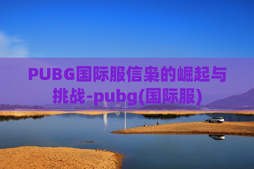 PUBG国际服信枭的崛起与挑战-pubg(国际服)