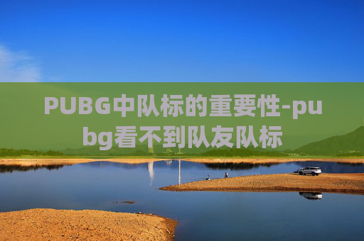 PUBG中队标的重要性-pubg看不到队友队标