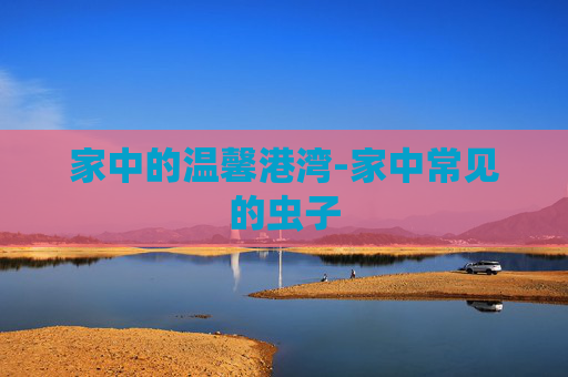 家中的温馨港湾-家中常见的虫子