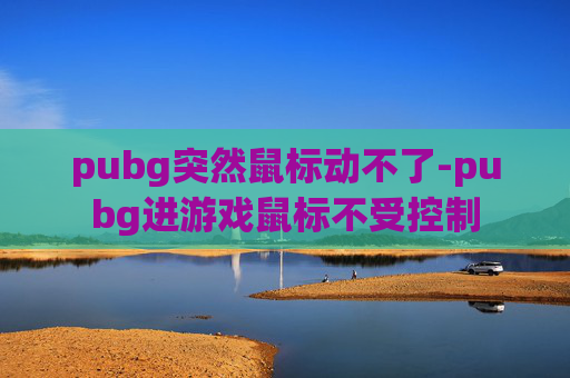 pubg突然鼠标动不了-pubg进游戏鼠标不受控制