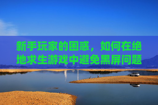 新手玩家的困惑，如何在绝地求生游戏中避免黑屏问题-pubg进游戏黑屏怎么办