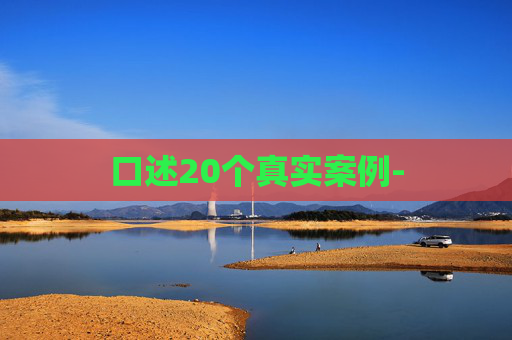 口述20个真实案例-