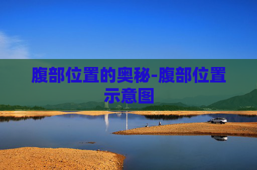 腹部位置的奥秘-腹部位置示意图