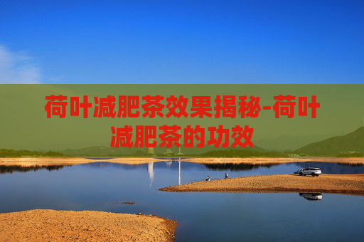 荷叶减肥茶效果揭秘-荷叶减肥茶的功效