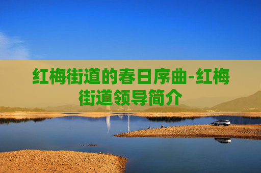 红梅街道的春日序曲-红梅街道领导简介