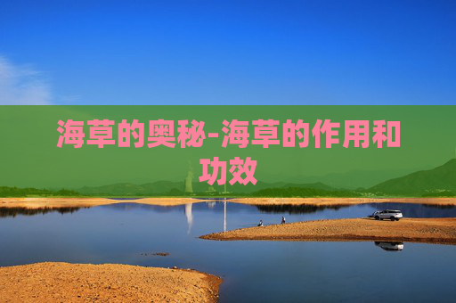 海草的奥秘-海草的作用和功效