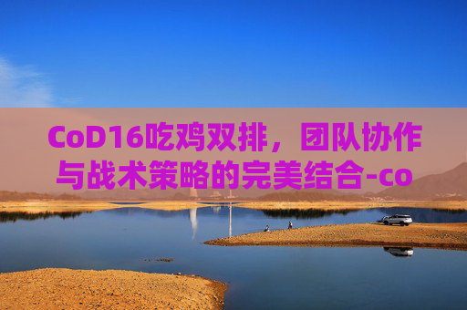 CoD16吃鸡双排，团队协作与战术策略的完美结合-cod16吃鸡排不到人
