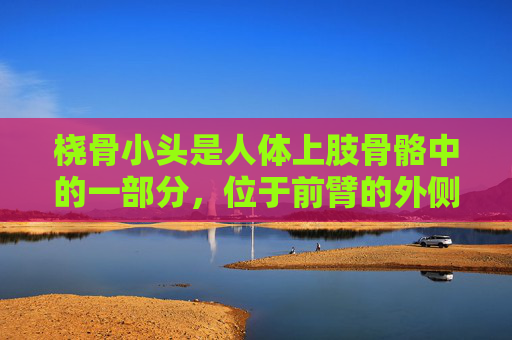 桡骨小头是人体上肢骨骼中的一部分，位于前臂的外侧。它的主要功能是与尺骨小头相接触，为手腕提供支撑和稳定性。在解剖学上，桡骨小头是一个微小而重要的结构，其位置和形态对于手部的正常功能至关重要。-桡骨小头半脱位