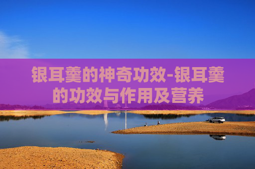 银耳羹的神奇功效-银耳羹的功效与作用及营养