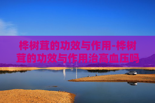 桦树茸的功效与作用-桦树茸的功效与作用治高血压吗