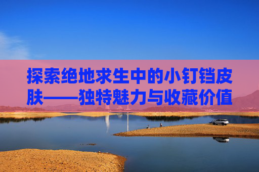 探索绝地求生中的小钉铛皮肤——独特魅力与收藏价值-小叮铛绝地求生