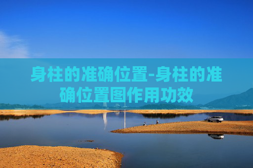 身柱的准确位置-身柱的准确位置图作用功效