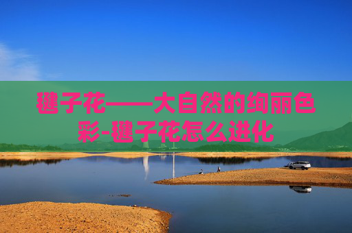 毽子花——大自然的绚丽色彩-毽子花怎么进化