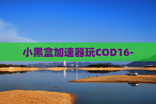 小黑盒加速器玩COD16-