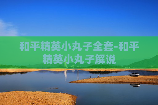 和平精英小丸子全套-和平精英小丸子解说