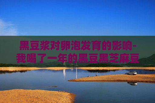 黑豆浆对卵泡发育的影响-我喝了一年的黑豆黑芝麻豆浆
