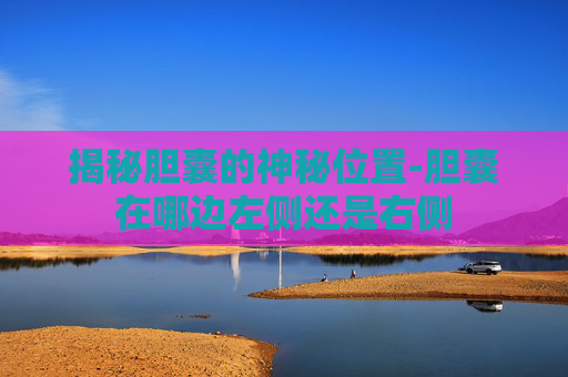 揭秘胆囊的神秘位置-胆囊在哪边左侧还是右侧