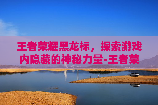 王者荣耀黑龙标，探索游戏内隐藏的神秘力量-王者荣耀的黑龙是什么