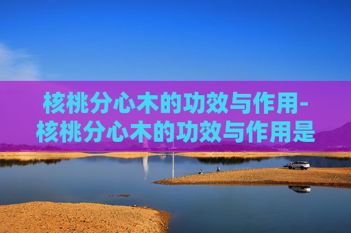 核桃分心木的功效与作用-核桃分心木的功效与作用是什么