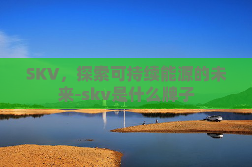 SKV，探索可持续能源的未来-skv是什么牌子