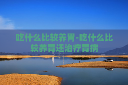 吃什么比较养胃-吃什么比较养胃还治疗胃病