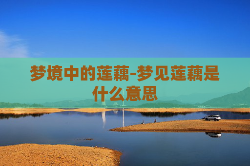 梦境中的莲藕-梦见莲藕是什么意思