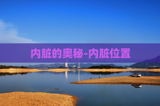 内脏的奥秘-内脏位置