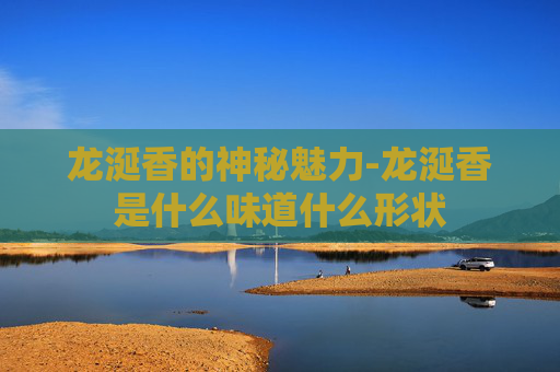 龙涎香的神秘魅力-龙涎香是什么味道什么形状