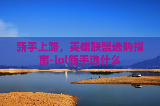 新手上路，英雄联盟选购指南-lol新手选什么