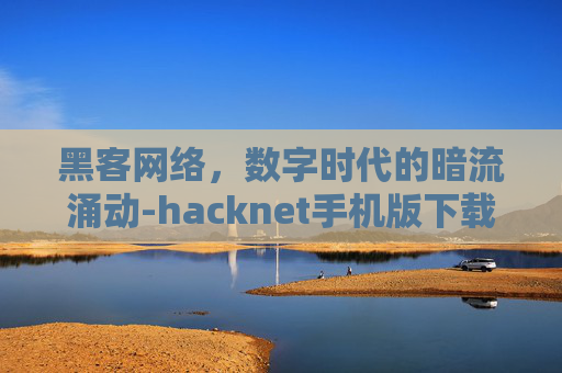 黑客网络，数字时代的暗流涌动-hacknet手机版下载